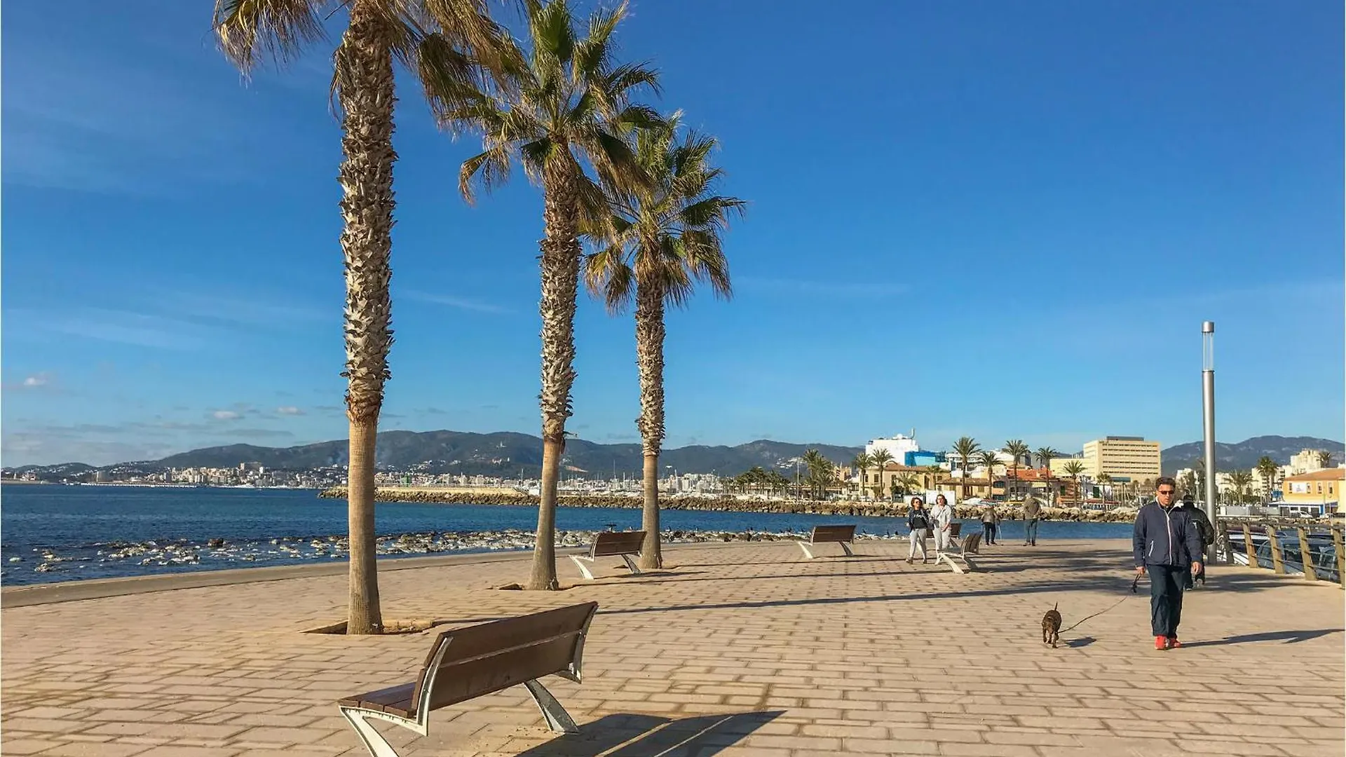Cozy Home In Palma De Mallorca With Wifi بيت للعطل